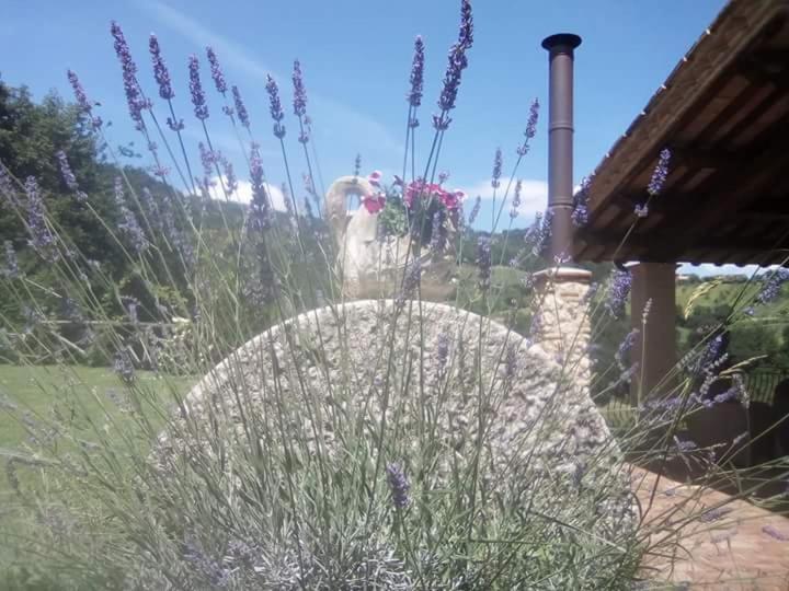 Agriturismo Isola Verde Sant'Urbano Exterior photo