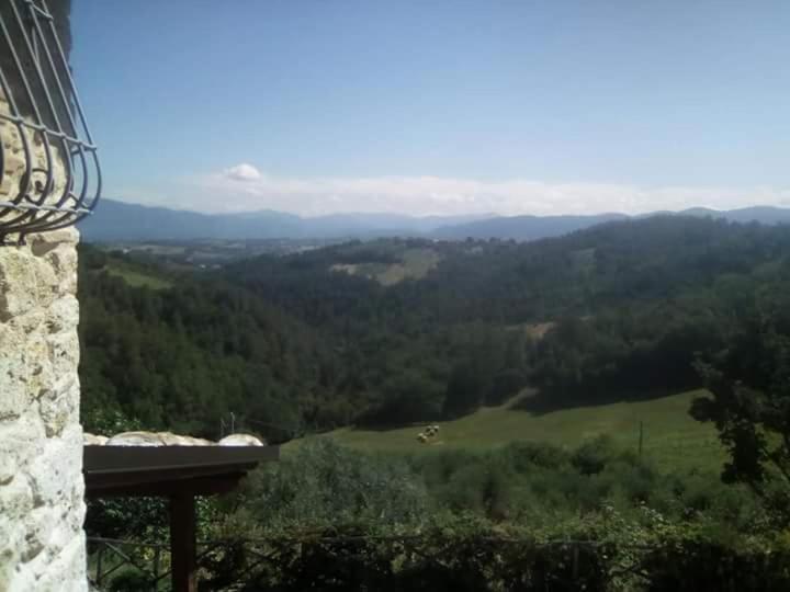 Agriturismo Isola Verde Sant'Urbano Exterior photo